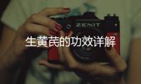 生黃芪的功效詳解