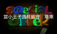 當(dāng)小王子遇見狐貍：草東鼓手離世與寵物依附