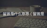 留置是什么意思（留置是什么意思）