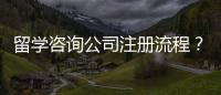 留學咨詢公司注冊流程？ 留學咨詢多少錢