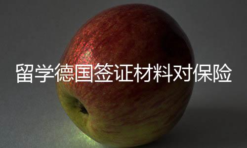 留學德國簽證材料對保險要求有變