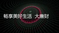 暢享美好生活  大唐財(cái)富推出唐人街線上綜合服務(wù)平臺(tái)