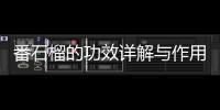 番石榴的功效詳解與作用科普及番石榴應該如何吃