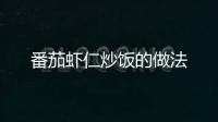 番茄蝦仁炒飯的做法