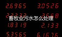 畜牧業(yè)污水怎么處理