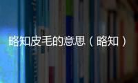 略知皮毛的意思（略知）