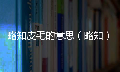 略知皮毛的意思（略知）