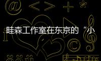 畦森工作室在東京的“小地塊”上建造房屋（組圖）