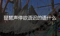 琵琶聲停欲語遲的語什么意思 琵琶行中欲語遲的意思