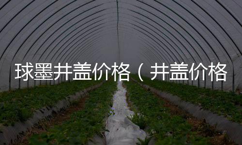 球墨井蓋價格（井蓋價格）