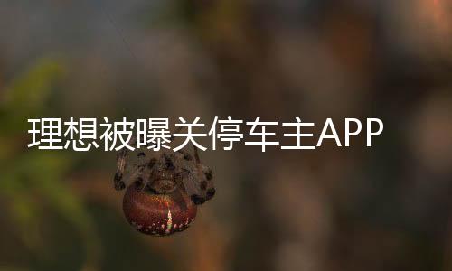 理想被曝關停車主APP賬號，幾十萬買的車到底歸誰？