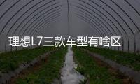 理想L7三款車型有啥區(qū)別 官方對(duì)比一文看懂