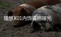 理想X01內飾諜照曝光 全新設計配大聯屏