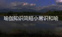 瑜伽知識簡短小常識和瑜伽健康知識點總結大全的情況說明
