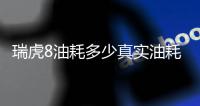 瑞虎8油耗多少真實油耗多少