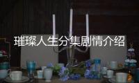 璀璨人生分集劇情介紹