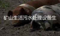 礦山生活污水處理設備生產