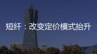 短纖：改變定價模式抬升價格