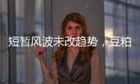 短暫風波未改趨勢，豆粕供應壓力仍是主要矛盾