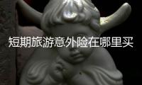 短期旅游意外險在哪里買的呢