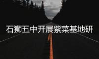 石獅五中開展紫菜基地研學實踐活動