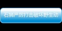 石獅嚴厲打擊破壞野生動物違法犯罪
