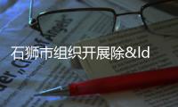 石獅市組織開展除“四害”統一行動