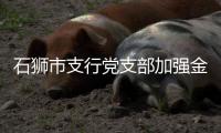 石獅市支行黨支部加強金融安全教育