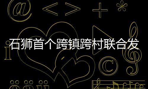 石獅首個跨鎮跨村聯合發展公司揭牌