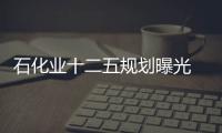 石化業(yè)十二五規(guī)劃曝光 勾勒多項(xiàng)約束性指標(biāo)