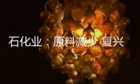 石化業(yè)：原料減少 復(fù)興受阻