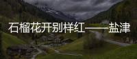 石榴花開別樣紅——鹽津縣持續推進民族團結進步事業側記