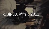 石油和天然氣：2021年上半年能源轉(zhuǎn)型投資趨勢(shì)