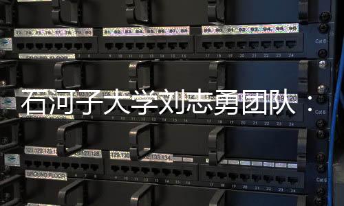 石河子大學(xué)劉志勇團(tuán)隊(duì)：基于共價(jià)鍵自支撐的柔性超級(jí)電容器 – 材料牛