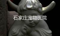 石家莊寵物醫院