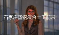 石家莊塑鋼復合土工筋帶價格