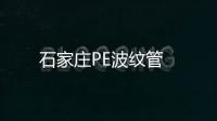 石家莊PE波紋管