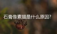 石膏像素描是什么原因?