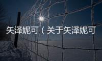 矢澤妮可（關于矢澤妮可的基本情況說明介紹）
