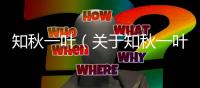 知秋一葉（關于知秋一葉的基本情況說明介紹）