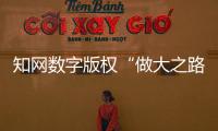 知網數字版權“做大之路”
