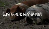 知名品牌服裝全是假的　涉案金額超百萬元