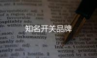 知名開關品牌
