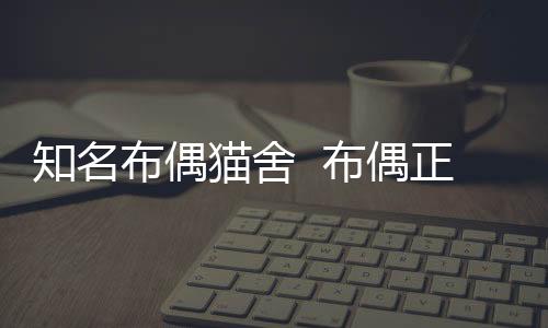 知名布偶貓舍  布偶正規貓舍