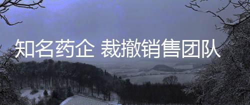 知名藥企 裁撤銷售團(tuán)隊(duì)