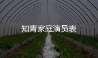 知青家庭演員表