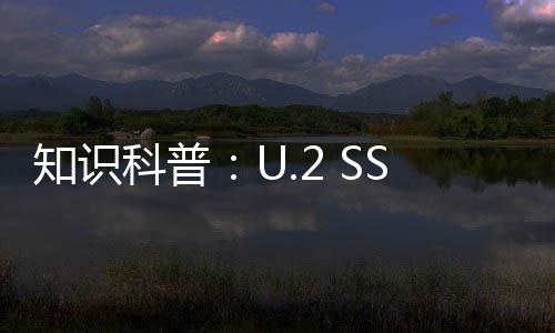 知識(shí)科普：U.2 SSD到底是什么鬼？