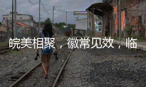 皖美相聚，徽常見效，臨工好司機(jī)活動合肥站助力中部崛起