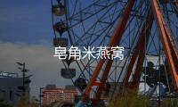 皂角米燕窩