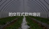 的交互式軟件培訓(xùn)